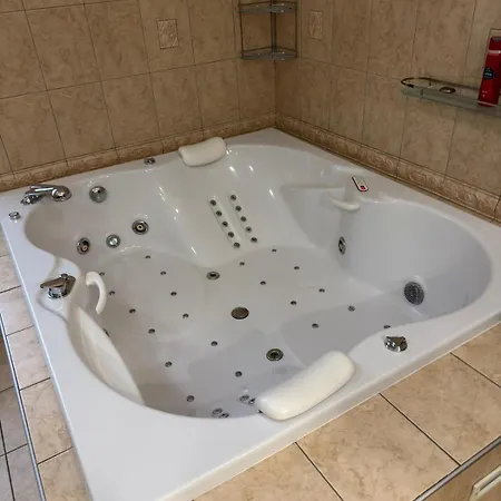 - Wellness, Pool, Jacuzzi, Sauna, Garden, Terraces Villa Prague