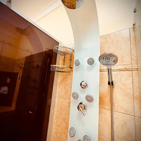- Wellness, Pool, Jacuzzi, Sauna, Garden, Terraces Prag